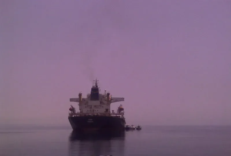 CHINA Bulk Carrier IMO 8917754 photo 5