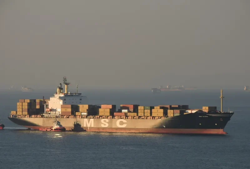 MSC ELOISE Container Ship IMO 8917778 photo 4