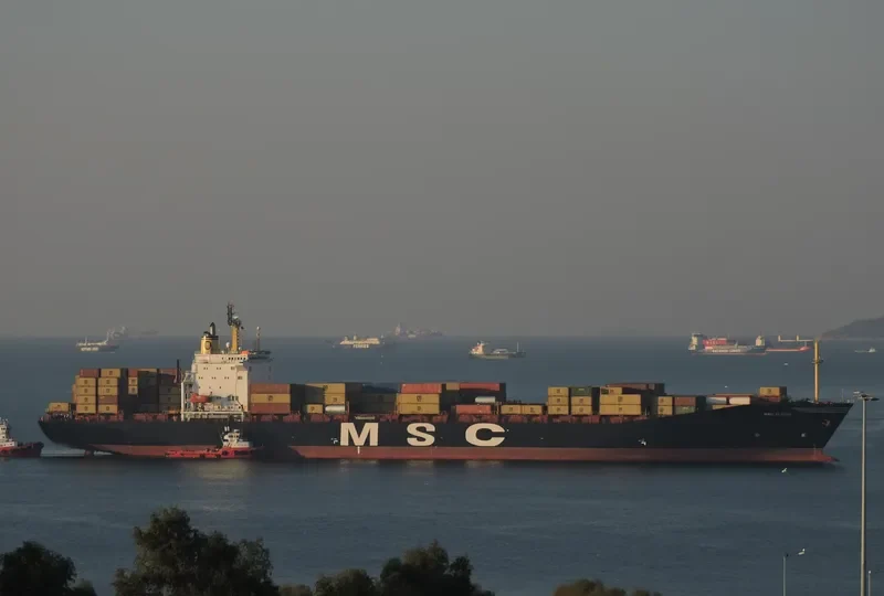 MSC ELOISE Container Ship IMO 8917778 photo 5