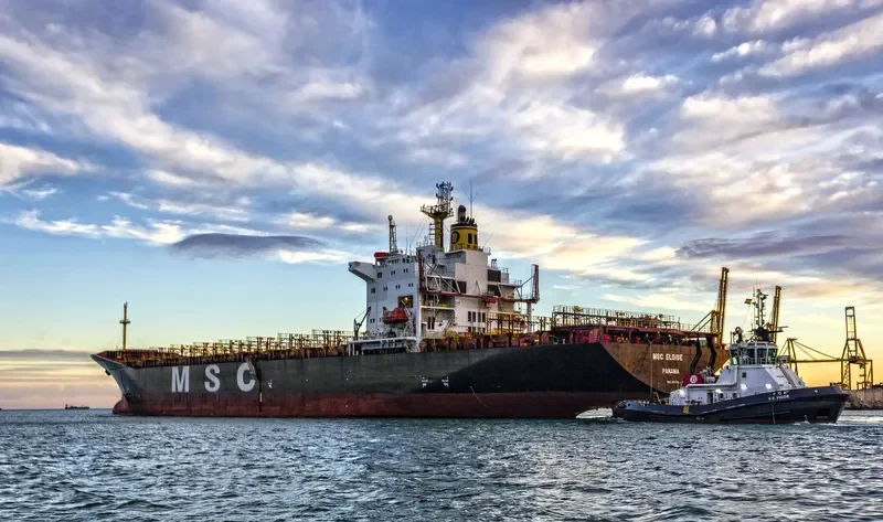 MSC ELOISE Container Ship IMO 8917778 photo 8