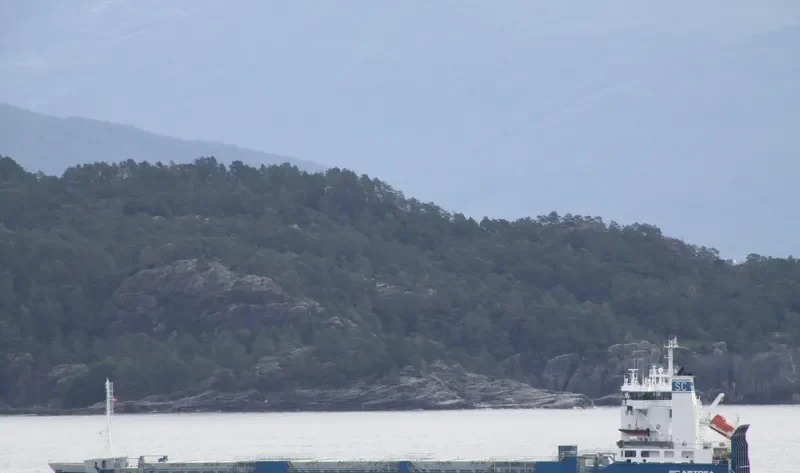 SC ASTREA Ro-Ro IMO 8917895