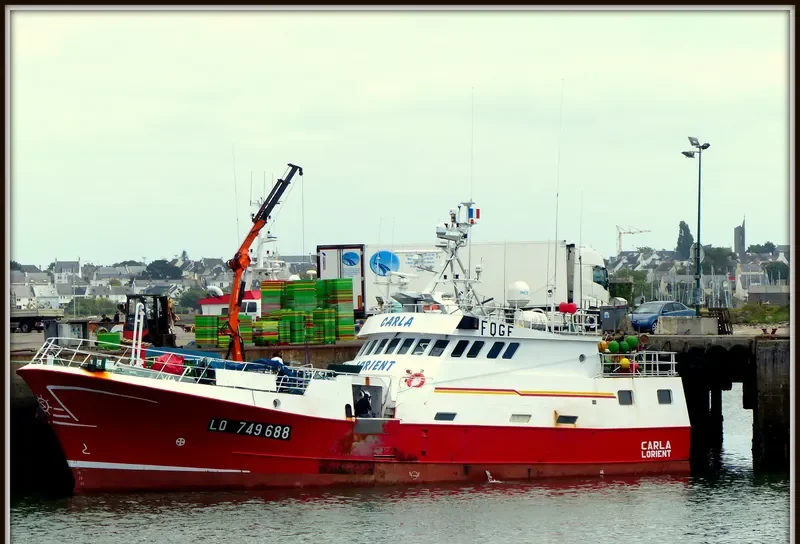 CARLA General Cargo IMO 8918021