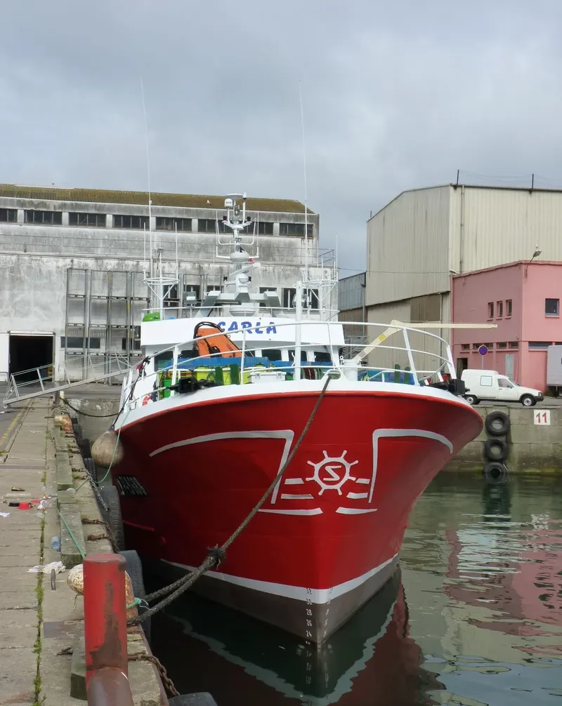 CARLA General Cargo IMO 8918021 photo 6