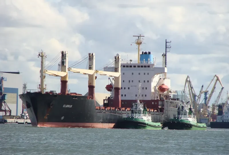ELBRUS General Cargo IMO 8918095 photo 3