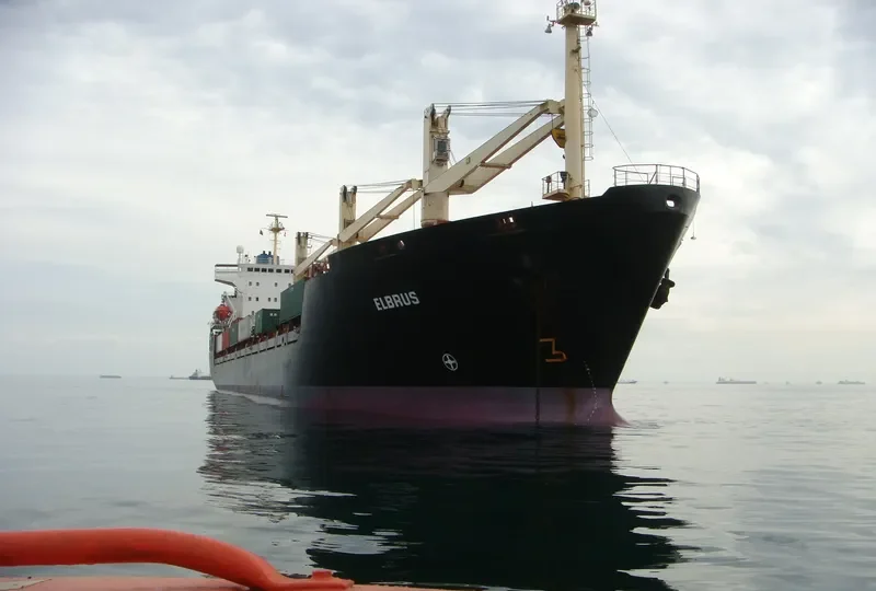 ELBRUS General Cargo IMO 8918095 photo 33