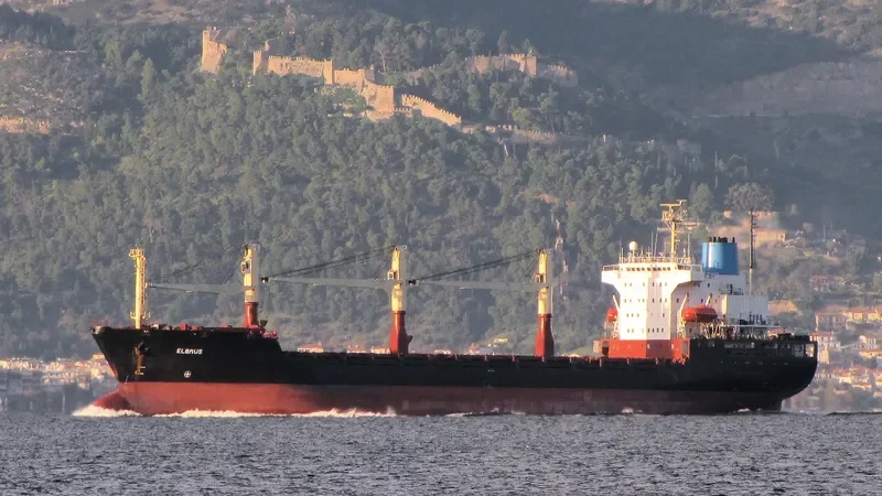 ELBRUS General Cargo IMO 8918095 photo 39