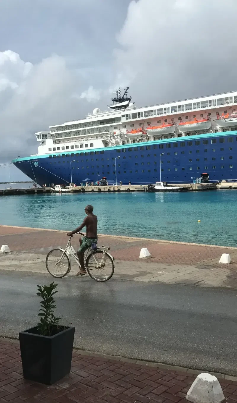 THE ZENITH Passenger Ship IMO 8918136 photo 9