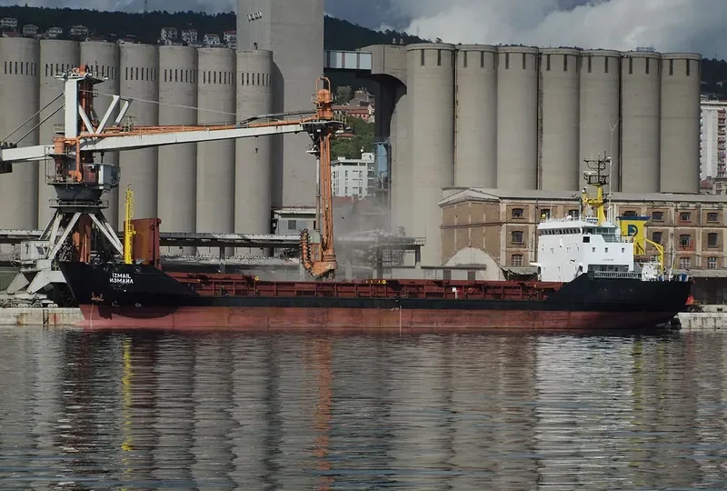 IZMAIL General Cargo IMO 8918344 photo 3