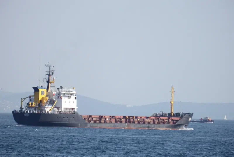 IZMAIL General Cargo IMO 8918344 photo 7