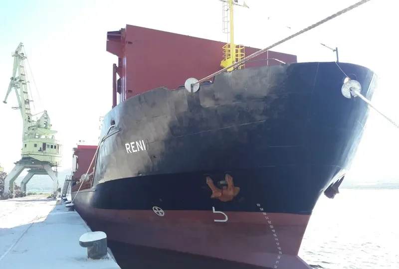 RENI General Cargo IMO 8918368 photo 2