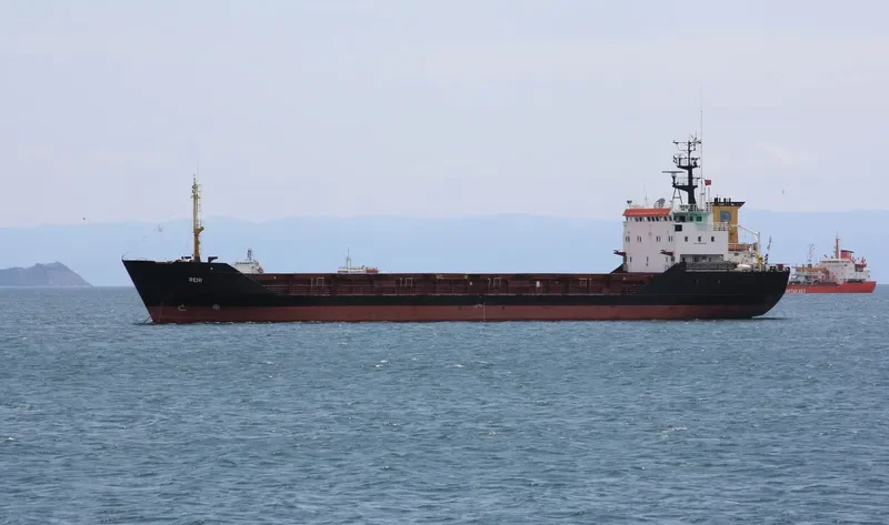 RENI General Cargo IMO 8918368 photo 3
