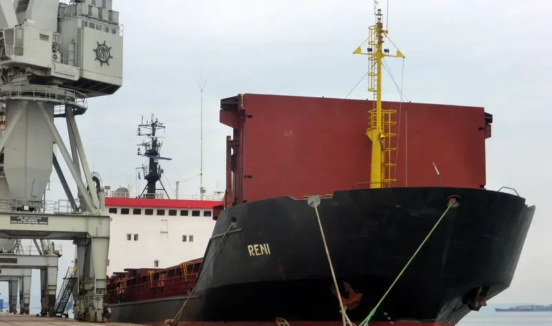 RENI General Cargo IMO 8918368 photo 5