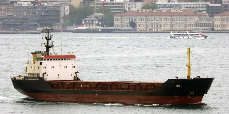 RENI General Cargo IMO 8918368 photo 6