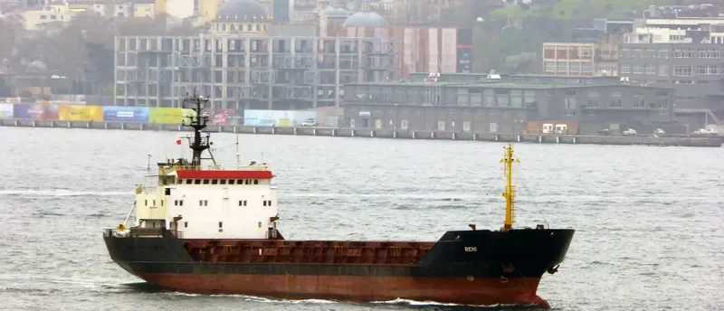 RENI General Cargo IMO 8918368 photo 7