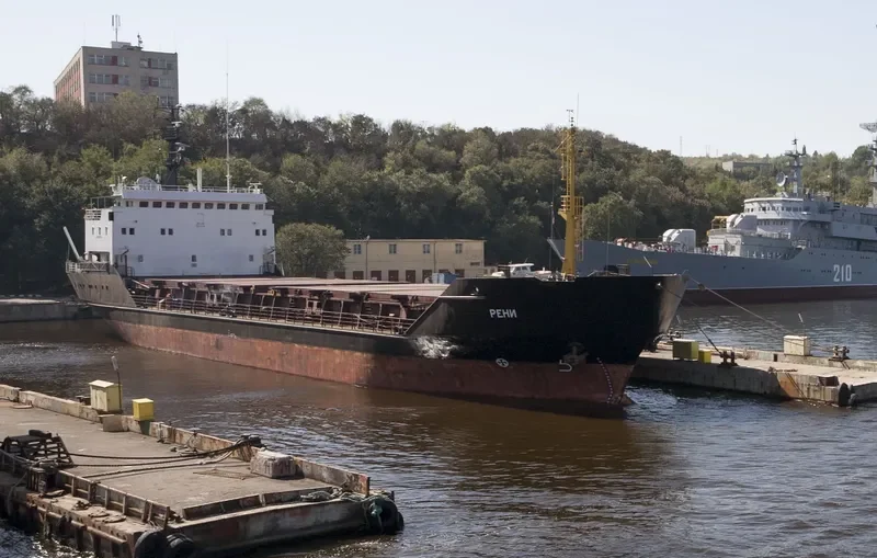 RENI General Cargo IMO 8918368 photo 8