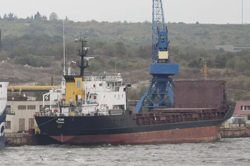 RENI General Cargo IMO 8918368 photo 9