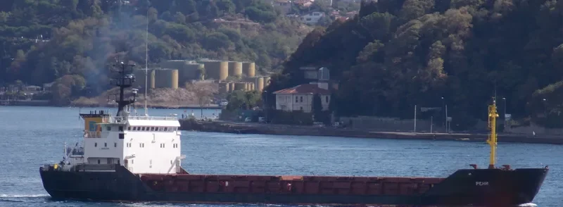 RENI General Cargo IMO 8918368 photo 10