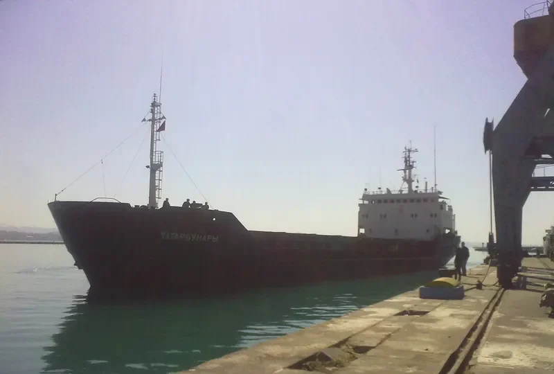 TATARBUNARY General Cargo IMO 8918394 photo 3