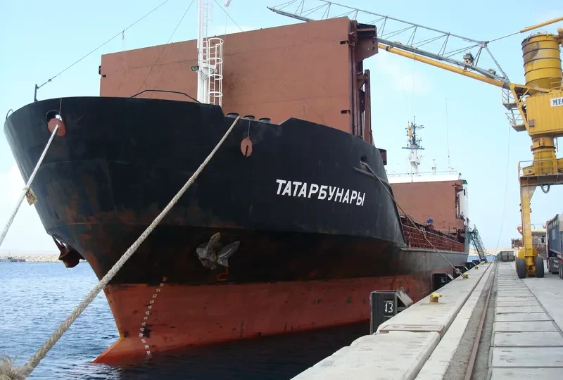 TATARBUNARY General Cargo IMO 8918394 photo 4