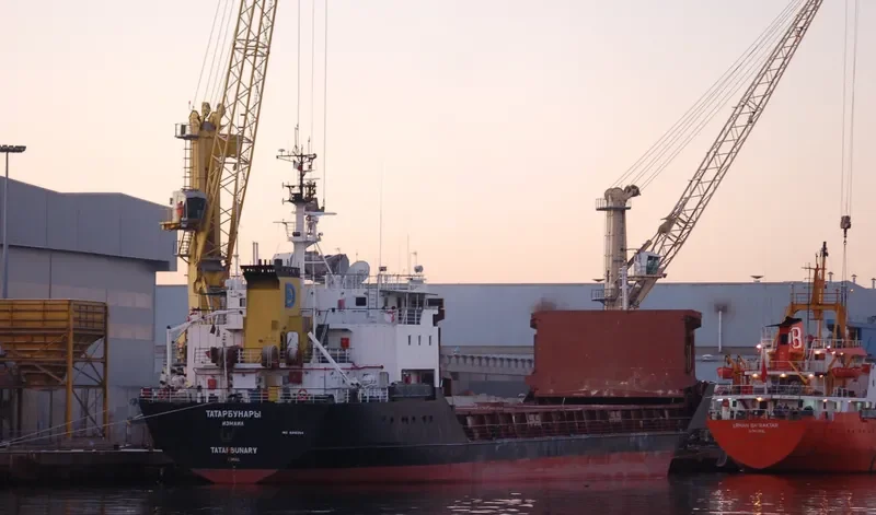 TATARBUNARY General Cargo IMO 8918394 photo 7