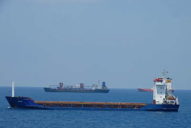 NIHAL General Cargo IMO 8918435 photo 4