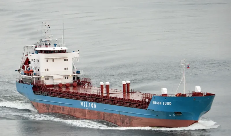 WILSON SUND General Cargo IMO 8918473 photo 7