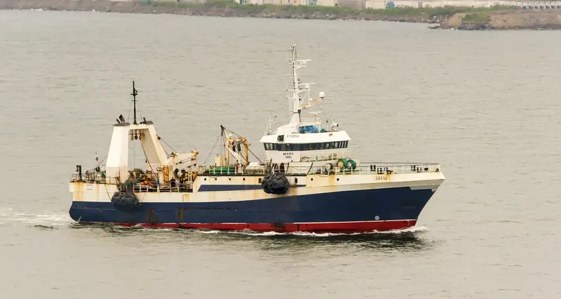AVACHA General Cargo IMO 8918643