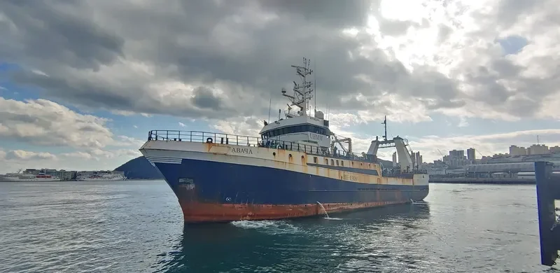 AVACHA General Cargo IMO 8918643 photo 7
