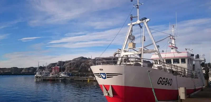 SVANEN AV RORO General Cargo IMO 8918655