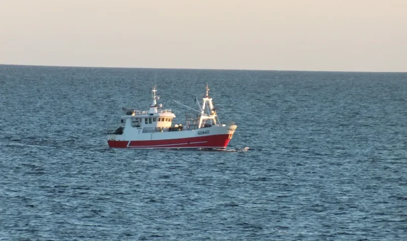 SVANEN AV RORO General Cargo IMO 8918655 photo 3