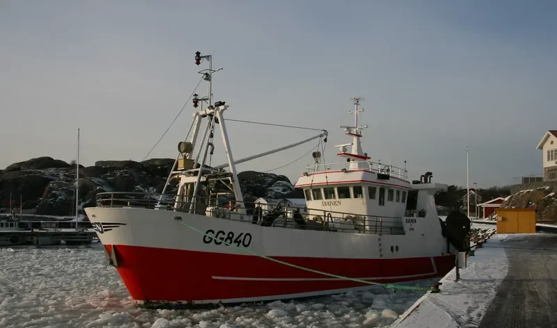 SVANEN AV RORO General Cargo IMO 8918655 photo 5