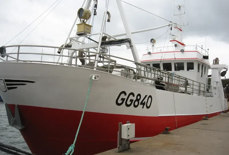 SVANEN AV RORO General Cargo IMO 8918655 photo 7