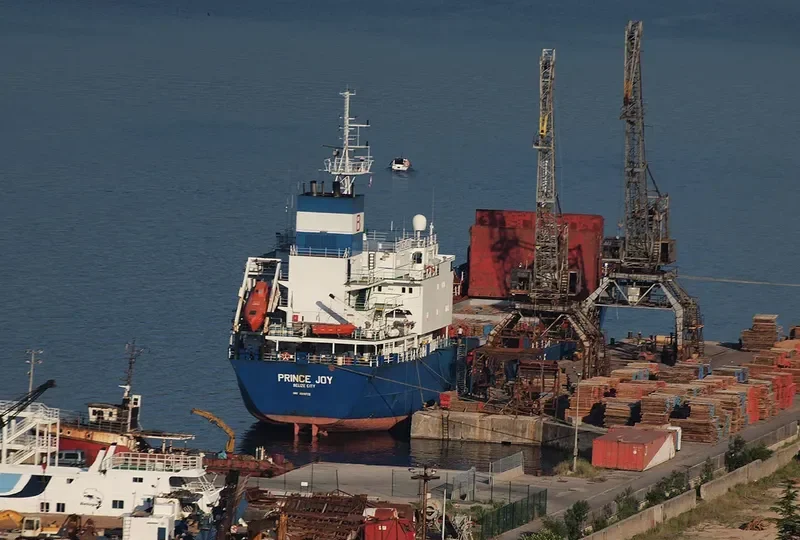 PRINCESS MAYSA General Cargo IMO 8918722 photo 2