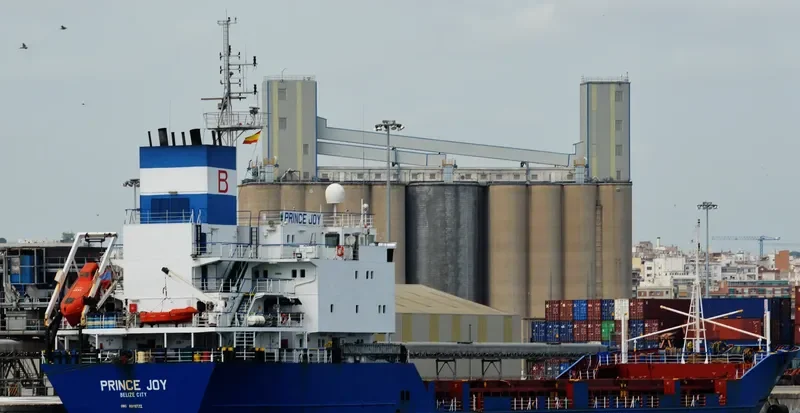 PRINCESS MAYSA General Cargo IMO 8918722 photo 5