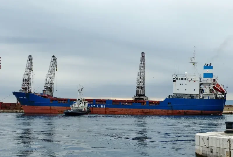 PRINCESS MAYSA General Cargo IMO 8918722 photo 10