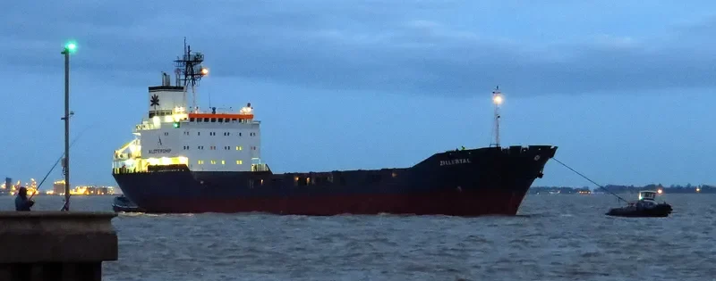 LADY KHADIJA Container Ship IMO 8918734 photo 3
