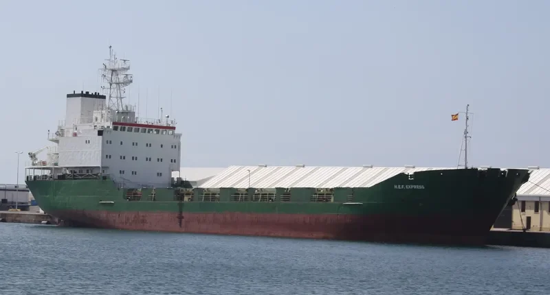 H.E.F.EXPRESS General Cargo IMO 8918796 photo 8