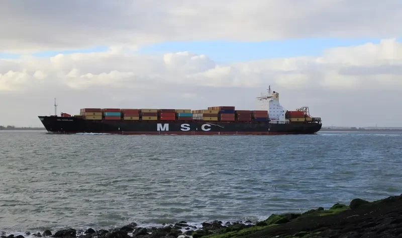 MSC NEDERLAND Container Ship IMO 8918954 photo 2