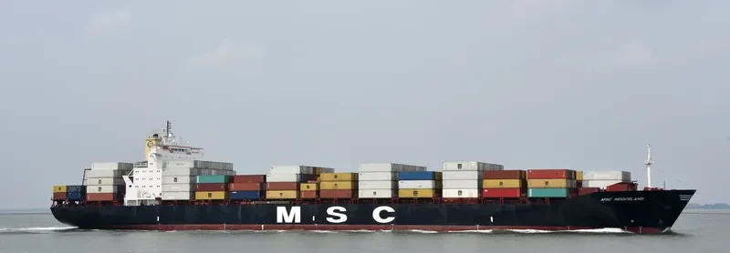 MSC NEDERLAND Container Ship IMO 8918954 photo 3