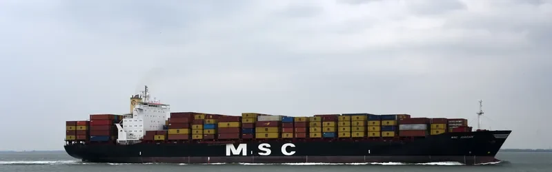 MSC JORDAN Container Ship IMO 8918980 photo 2