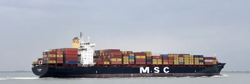 MSC JORDAN Container Ship IMO 8918980 photo 3