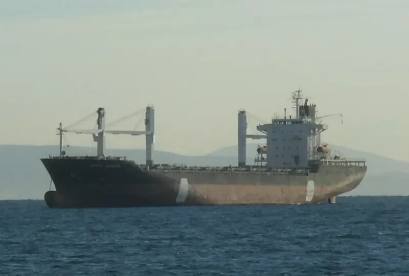NICA Container Ship IMO 8918992 photo 2