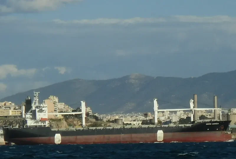 NICA Container Ship IMO 8918992 photo 3