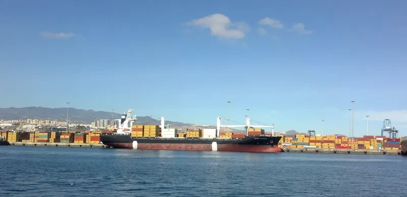 NICA Container Ship IMO 8918992 photo 4