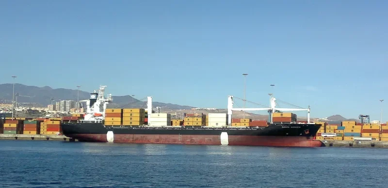 NICA Container Ship IMO 8918992 photo 5