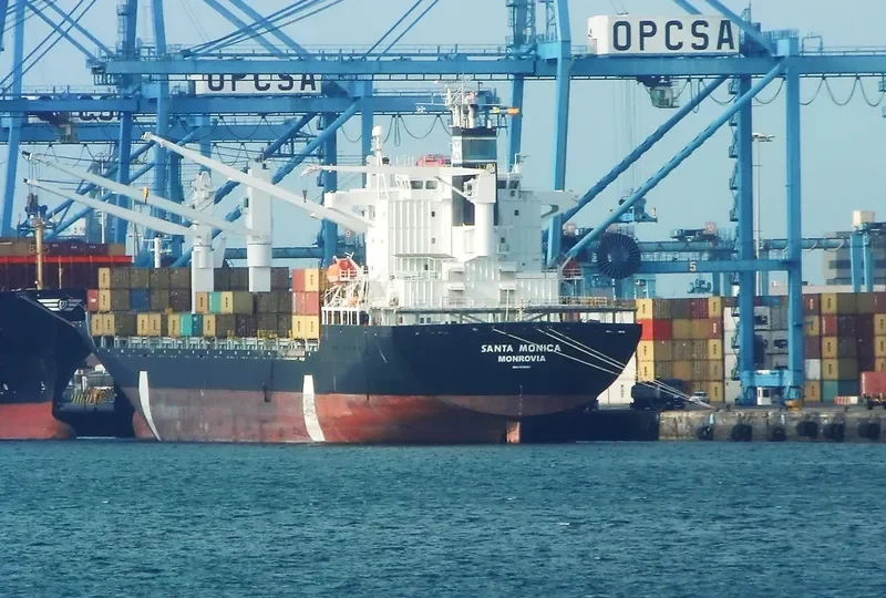 NICA Container Ship IMO 8918992 photo 6