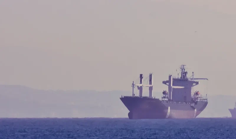 NICA Container Ship IMO 8918992 photo 8