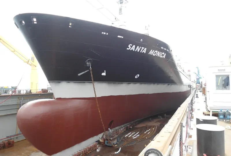NICA Container Ship IMO 8918992 photo 9