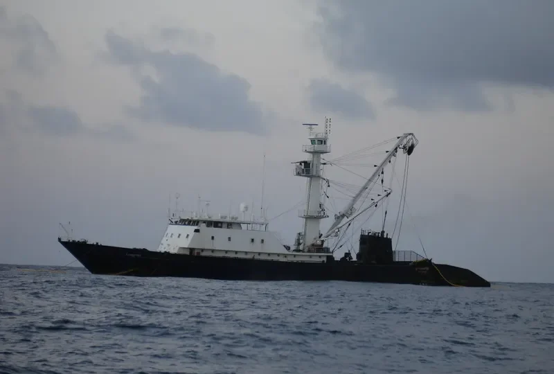 ATLANTIC GLORY General Cargo IMO 8919403 photo 4