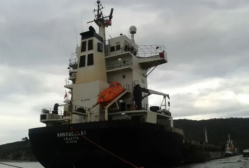 ANNABELLA I Container Ship IMO 8919788
